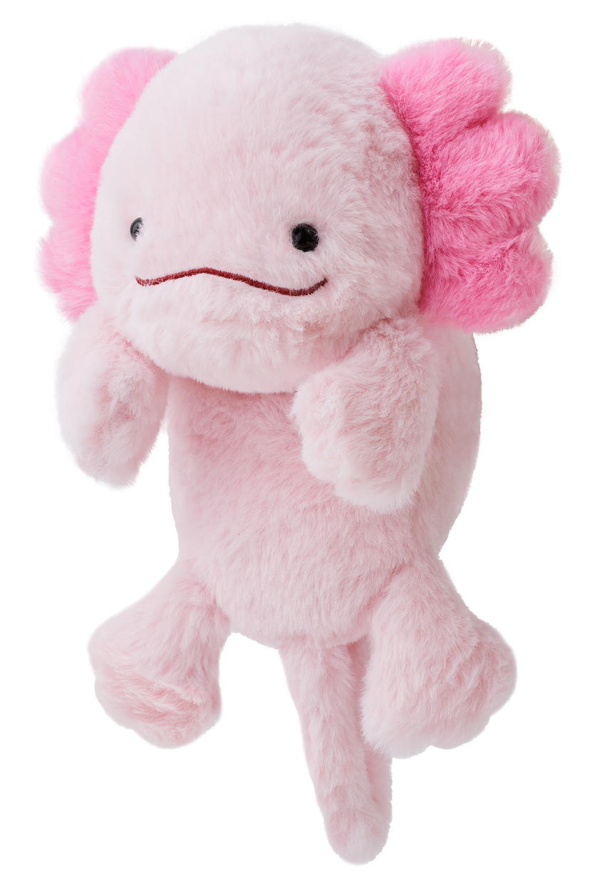 Posture Pal - Cute Surprise