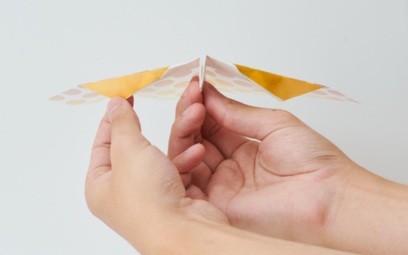 Papillon Origami Airplanes - Desk Buddy