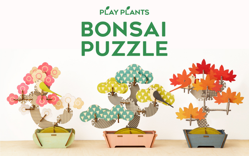 Play Plants Bonsai Puzzles - Modern Accent