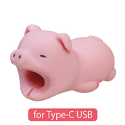 CABLE BITE for Type-C USB - Daily Charm