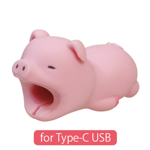 CABLE BITE for Type-C USB - Daily Charm