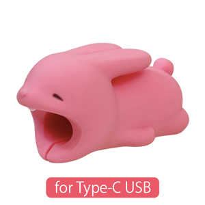 CABLE BITE for Type-C USB - Travel Carry